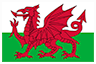 Welsh Flag Rugby Six Nations 2025